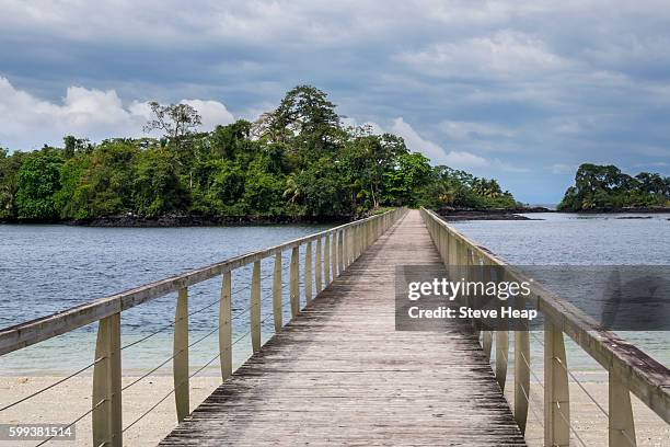 ecological island in the sea in sipopo near the capital city of malabo, equatorial guinea, africa - equatoriaal guinea stockfoto's en -beelden