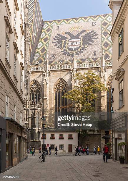 side view of st stephens church or cathedral in old town vienna, austria - st stephens cathedral vienna imagens e fotografias de stock