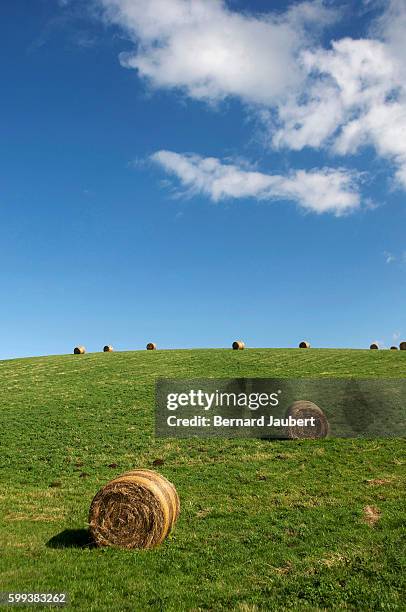 hay bales in a green field with blue sky - bernard jaubert stock pictures, royalty-free photos & images