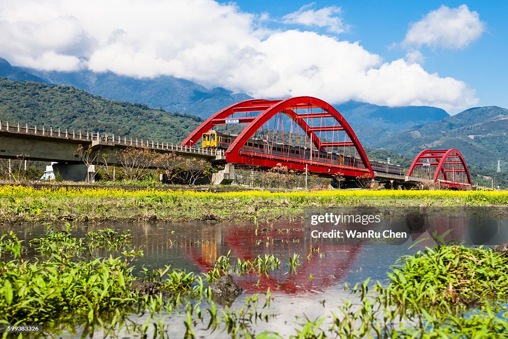 Train across a m-type Red Bridge on the lush paddy fields