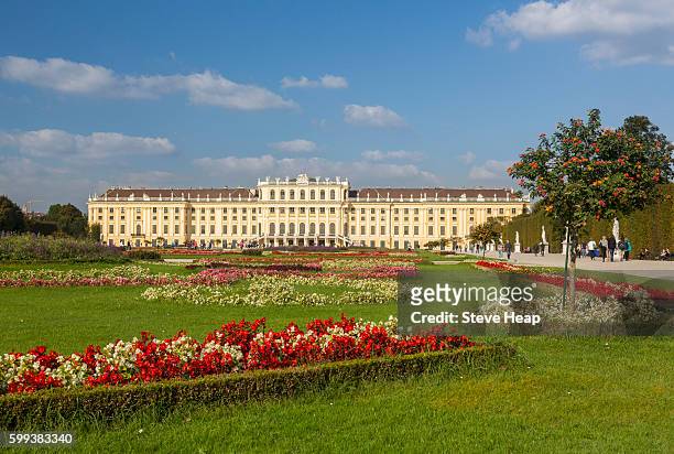 exterior of schonbrunn palace in vienna, austria - schonbrunn palace vienna stock pictures, royalty-free photos & images
