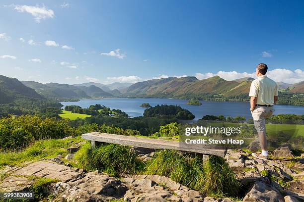 hiker looking at panorama of derwentwater in english lake district, england, uk from castlehead viewpoint in early morning - keswick stock pictures, royalty-free photos & images