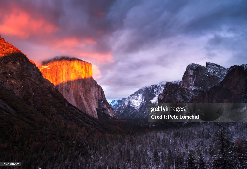 Tunnel view