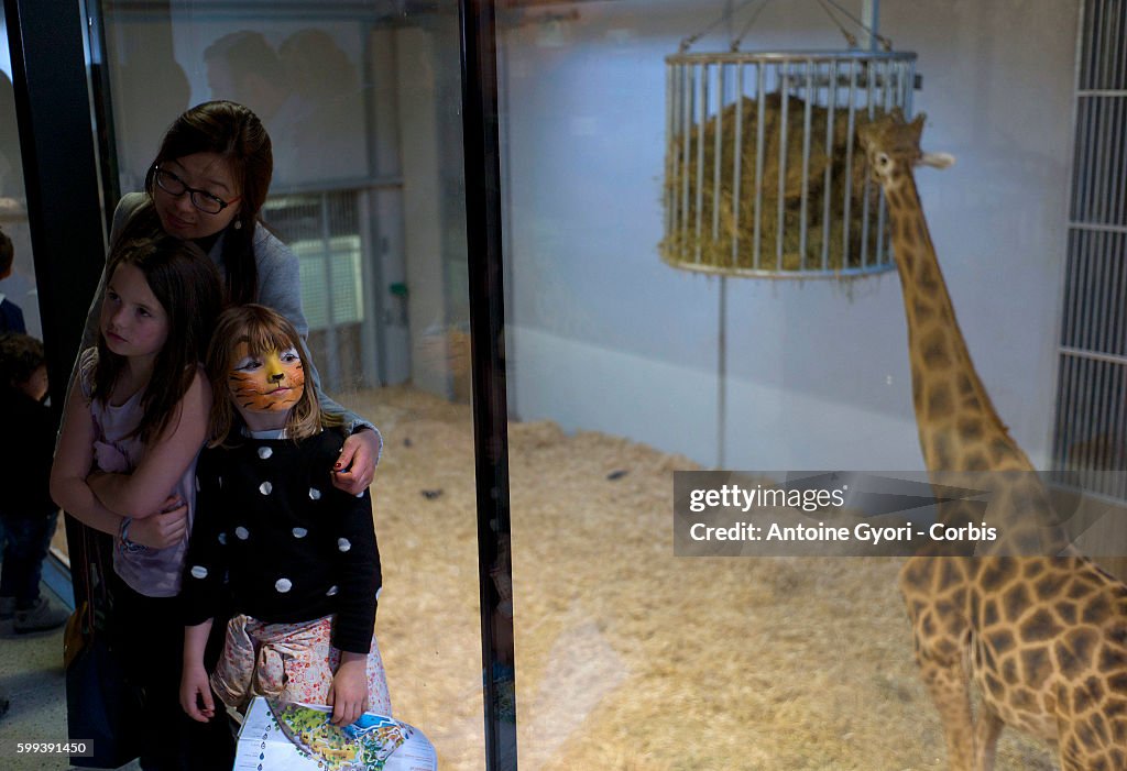 France - Reopening of the Paris Zoological Park in Vincennes