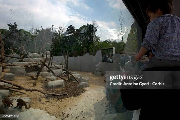 Inaugurated in 1934, the Paris Zoo will reopen for the public after being closed for four-years for renovation, transforming the zoo with new...