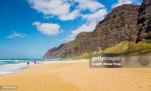 people walking along the sand in waves off the polihale beach in kauai, hawaii - na pali coast stock pictures, royalty-free photos & images