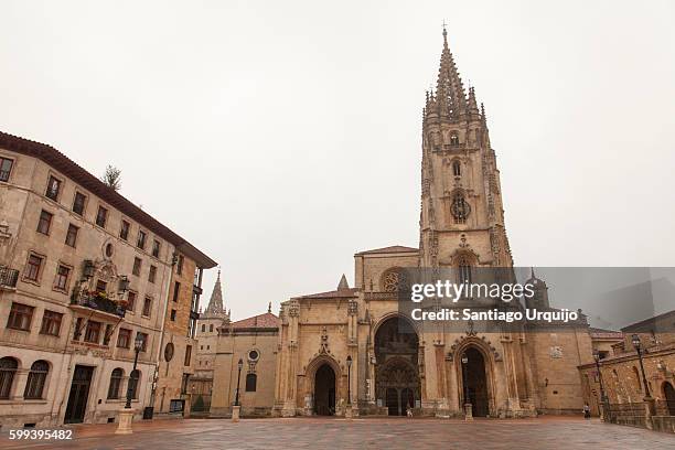 oviedo cathedral - oviedo fotografías e imágenes de stock