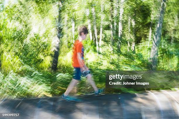 boy walking through forest - dalsland stock pictures, royalty-free photos & images