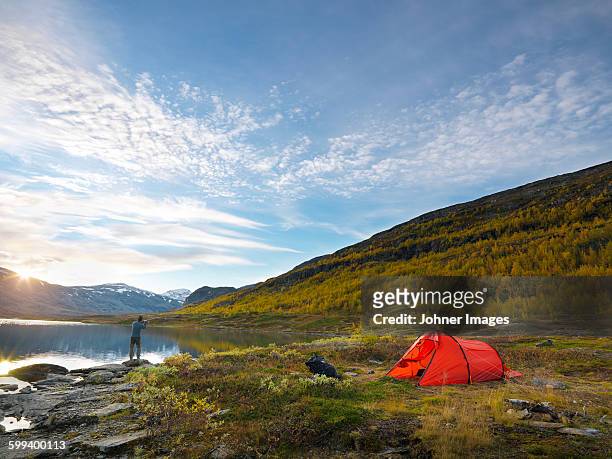 man camping - lapónia sueca imagens e fotografias de stock