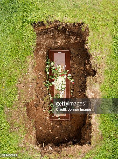 flowers on coffin - empty tomb stock-fotos und bilder