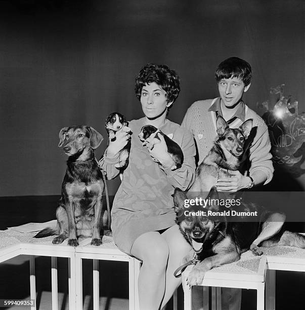 British television presenters Valerie Singleton and John Noakes with dogs spanning four generations who are due to appear on the children's TV show...