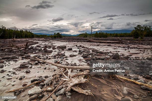 river studenaya. russia, kamchatka - kronotsky state biosphere reserve stockfoto's en -beelden