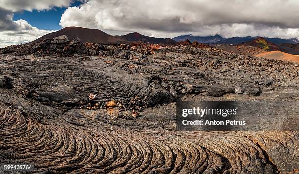 frozen lava of tolbachik volcano, kamchatka - pahoehoe lava stock-fotos und bilder