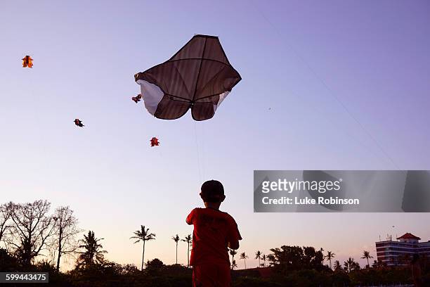 kite flying in sanur - indonesian kite stock pictures, royalty-free photos & images