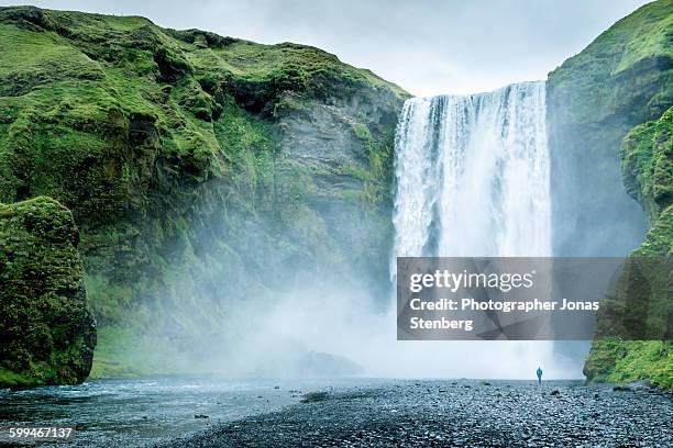 skogafoss - water fall stock-fotos und bilder