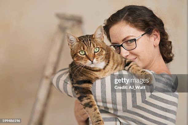 she thinks our new home is purrfect - cat looking over shoulder stock pictures, royalty-free photos & images