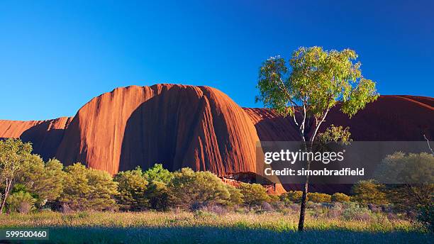 uluru paysage à l'aube  - ayers rock photos et images de collection