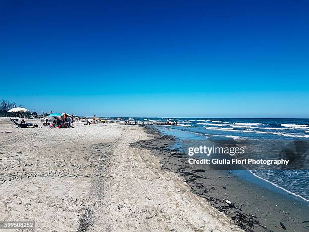 beach in veneto, italy - venezien stock-fotos und bilder