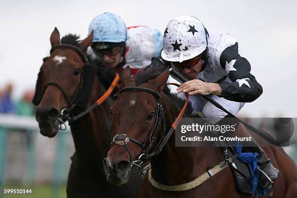 Timmy Murphy riding Pick A Little win The Jason "The Donkey" Jones Handicap Stakes at Brighton racecourse on Septmber 05, 2016 in Brighton, England.