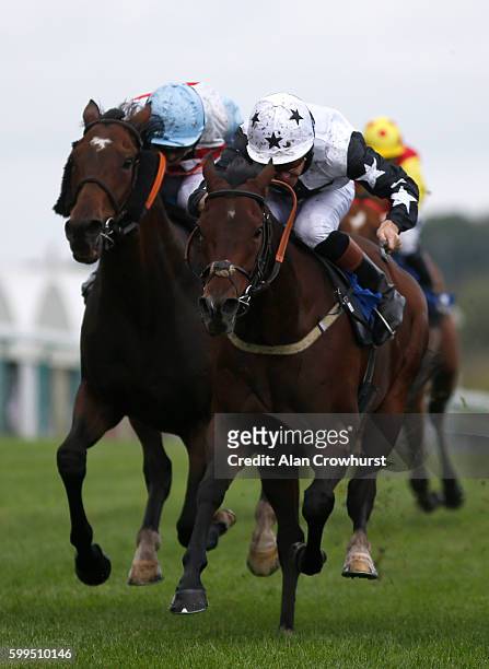 Timmy Murphy riding Pick A Little win The Jason "The Donkey" Jones Handicap Stakes at Brighton racecourse on Septmber 05, 2016 in Brighton, England.
