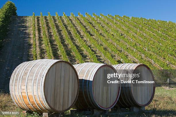 wine casks and vines, auntsfield estate, blenheim - blenheim stock pictures, royalty-free photos & images