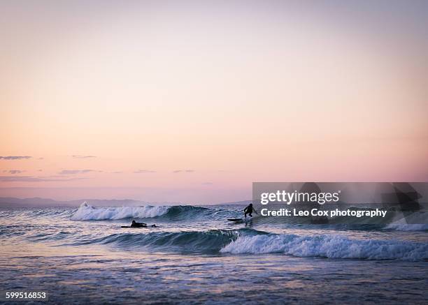 surfers surfing in the evening - byron bay stock-fotos und bilder