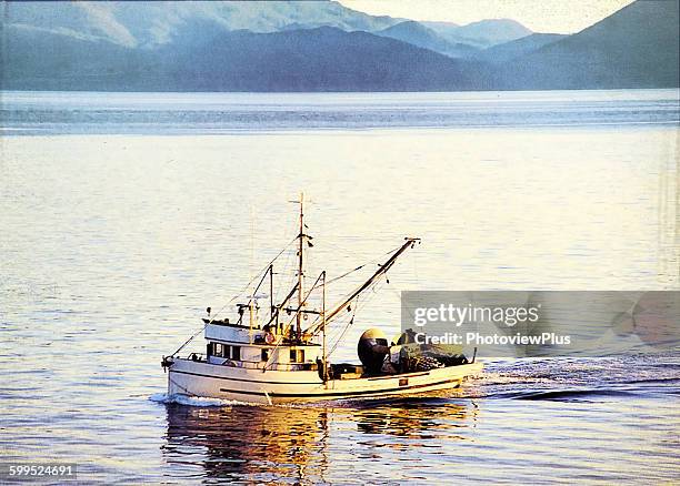 sein fishing in alaskan waters - revillagigedo island alaska stockfoto's en -beelden