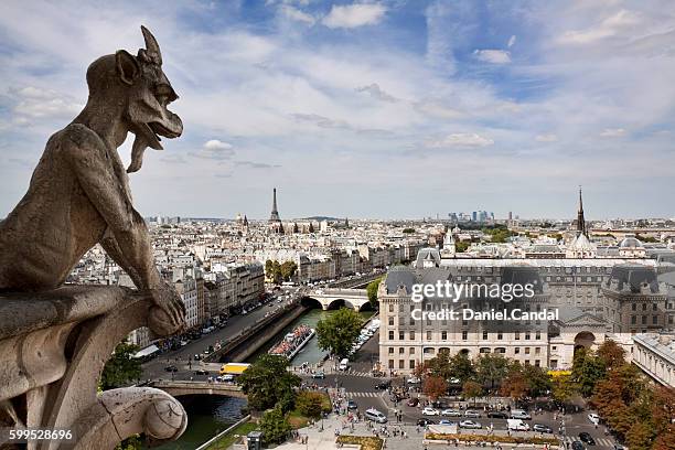 gargoyle of the notre dame cathedral, paris, france - pinnacle stock-fotos und bilder