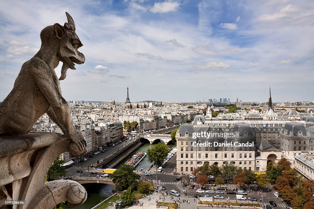 Gargoyle of the Notre Dame Cathedral, Paris, France