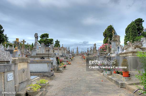 cemetery of carcassonne (france) - オードリバー ストックフォトと画像