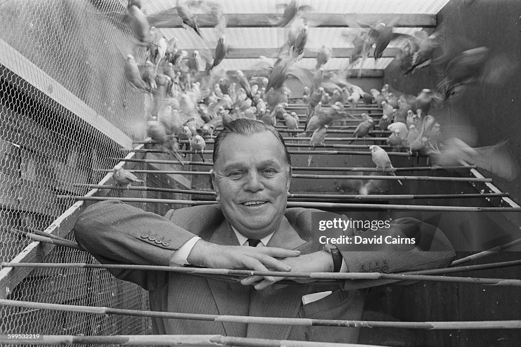 Billy Butlin's Budgies