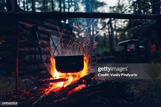 container hanging over campfire in forest - campfire no people stock pictures, royalty-free photos & images