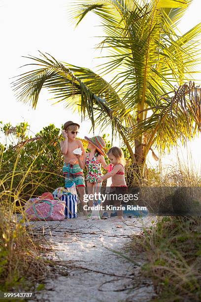 boy and two sisters collecting seashells at beach, sanibel, florida, usa - family gathering seashells on beach stock pictures, royalty-free photos & images