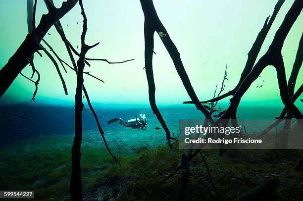 Hallocline 18 Halocline Stock Photos, High-Res Pictures, and Images - Getty Images