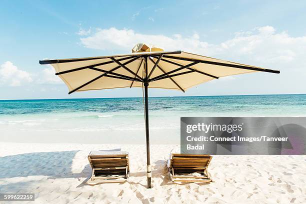 beach umbrella and sun loungers at beach, tulum, riviera maya, mexico - cultura maya stock-fotos und bilder