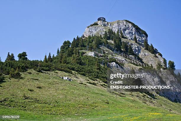 Rofan Api 438 Rofan Stock Photos, High-Res Pictures, and Images - Getty Images