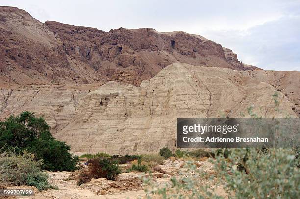 caves of qumran - qumran stock pictures, royalty-free photos & images
