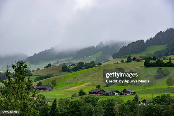 a swiss landscape - swaziland 個照片及圖片檔