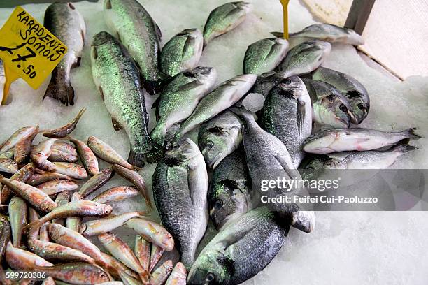 black seabream for sale at sinop of turkey - sparidae stock pictures, royalty-free photos & images