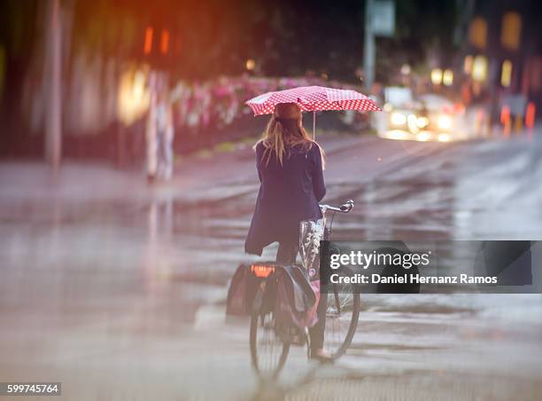 back view of a woman bicycling in the rain with a red umbrella in amsterdam city. - rain stock pictures, royalty-free photos & images