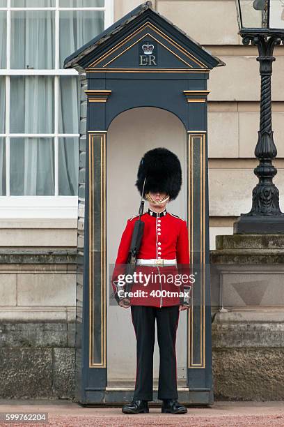 coldstream guard - palace guard stock pictures, royalty-free photos & images