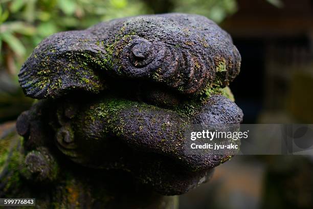 old with a moss guardian - 廃墟　日本 ストックフォトと画像