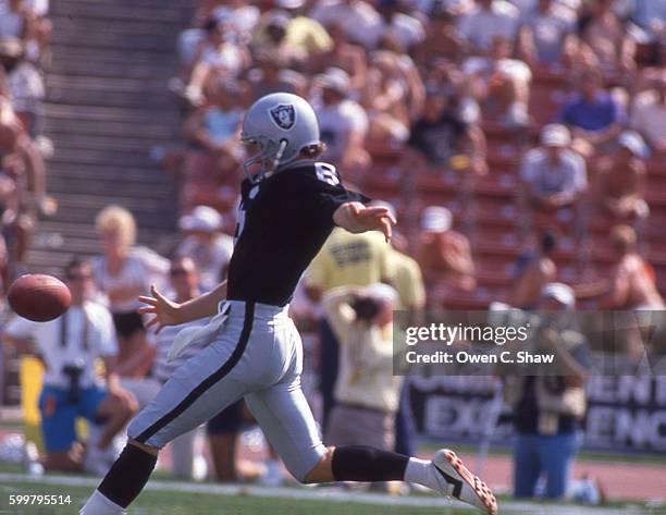 Ray Guy of the Los Angeles Raiders circa 1985 punts at the Coliseum in Los Angeles, California.