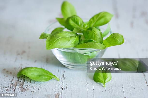 fresh basil leaves on wood - basil stock pictures, royalty-free photos & images
