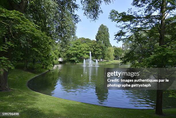 the pond with fountains in leopold park - fiandre occidentali foto e immagini stock