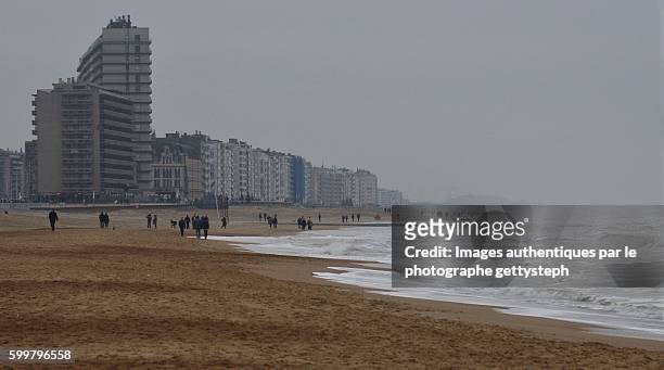 walkers at the edge of sea waters - beach of ostende foto e immagini stock