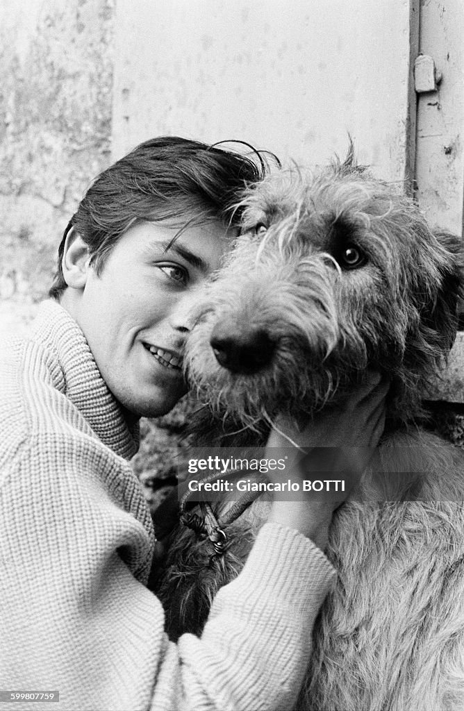 Actor Alain Delon And His Dogs...