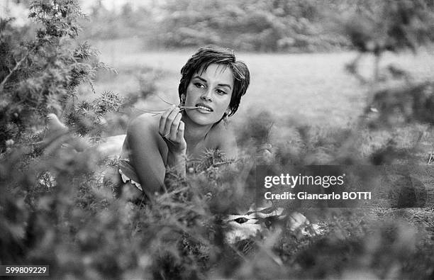 Italian Actress Antonella Lualdi in France, circa 1960 .