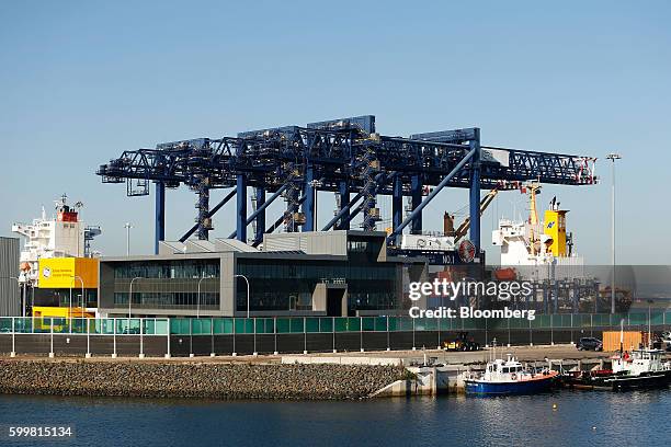 Cranes stand at the Port Botany container terminal in Sydney, Australia, on Tuesday, Sept. 6, 2016. Australia's annual expansion last quarter was its...