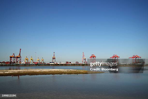 Cranes stand at the Port Botany container terminal in Sydney, Australia, on Tuesday, Sept. 6, 2016. Australia's annual expansion last quarter was its...